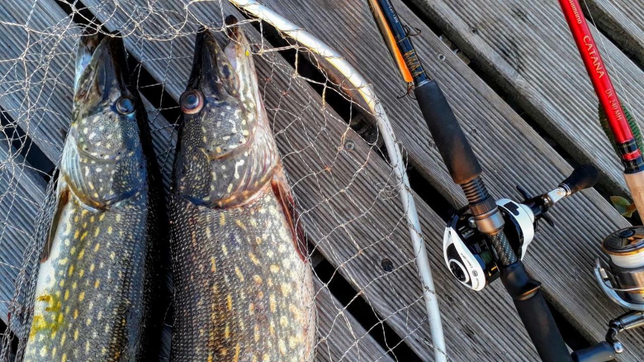 Kalurikula Fishing Village Pärnu Dış mekan fotoğraf